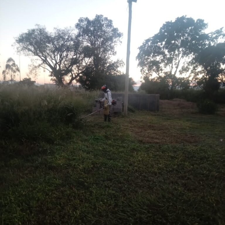 Desmalezado y limpieza…