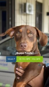 ¡Buen día, San Luis!…