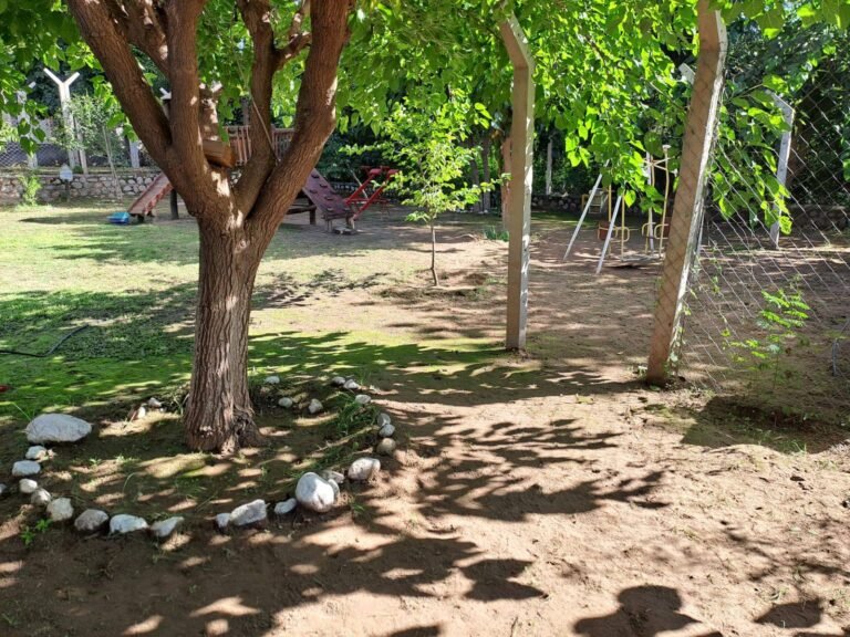 𝐒𝐞 𝐜𝐨𝐧𝐭𝐢𝐧ú𝐚 𝐜𝐨𝐧 𝐥𝐨𝐬 𝐭𝐫𝐚𝐛𝐚𝐣𝐨𝐬 𝐝𝐞 𝐦𝐚𝐧𝐭𝐞𝐧𝐢𝐦𝐢𝐞𝐧𝐭𝐨 𝐞𝐧 𝐥𝐚𝐬 𝐢𝐧𝐬𝐭𝐢𝐭𝐮𝐜𝐢𝐨𝐧𝐞𝐬 𝐞𝐝𝐮𝐜𝐚𝐭𝐢𝐯𝐚𝐬…