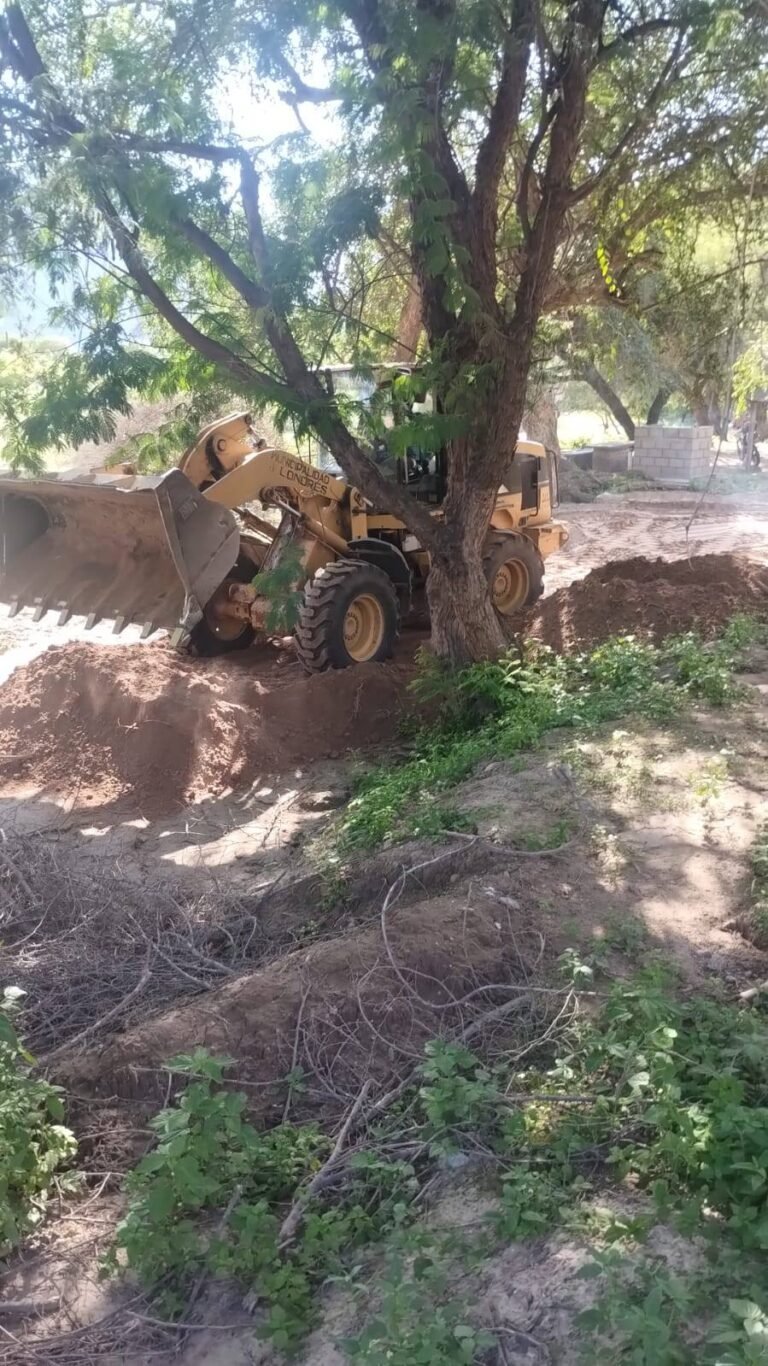 𝐓𝐫𝐚𝐛𝐚𝐣𝐨𝐬 𝐝𝐞 𝐦𝐚𝐧𝐭𝐞𝐧𝐢𝐦𝐢𝐞𝐧𝐭𝐨 𝐞𝐧 𝐞𝐥 𝐂𝐚𝐦𝐩𝐢𝐧𝐠 𝐌𝐮𝐧𝐢𝐜𝐢𝐩𝐚𝐥 𝐄𝐥 𝐌𝐨𝐥𝐢𝐧𝐨….