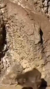 Así se vivió febrero en la ciudad: con nuevas propuestas para los vecinos, prevención, presencia en los barrios y más obras y servicios púb…