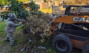 Con la Secretaría de Servicios Públicos continuamos ejecutando tareas de mantenimiento integral en toda la ciudad…