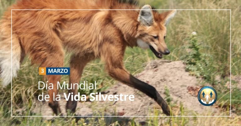 Día Mundial de la #VidaSilvestre…