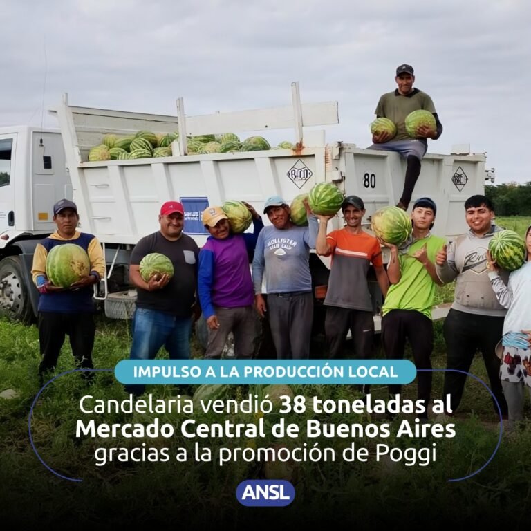 La promoción que realiza el Gobernador en redes sociales volvió a dar resultados concretos. Productores hortícolas de Candelaria enviaron u…