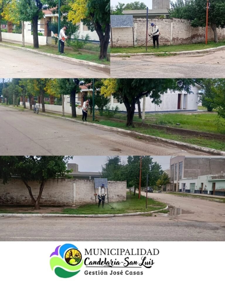 El personal municipal lleva adelante tareas de recolección de residuos, corte de pasto y mantenimiento de la red cloacal en distintos sector…