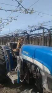 Las obras no paran en San Miguel de Tucumán….