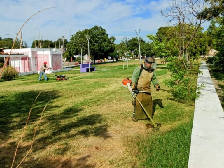 TRABAJOS DE LIMPIEZA Y MANTENIMIENTO EN ESPACIOS PÚBLICOS…