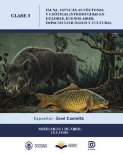 Te comentamos acerca de la clase 3 de la cátedra de Identidad Dolorense:  Fauna, especies autóctonas y exóticas introducida en Dolores, imp…