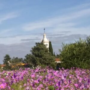 A días del Equinoccio de Otoño…