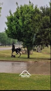 La lluvia también pinta sus propias postales en Los Reartes….