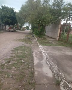 Trabajos de limpieza y desmalezado…