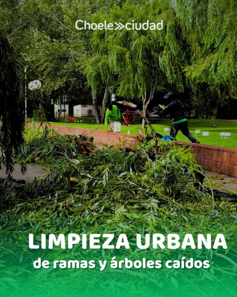 Árboles, ramas, chapas y toda la basura que voló….