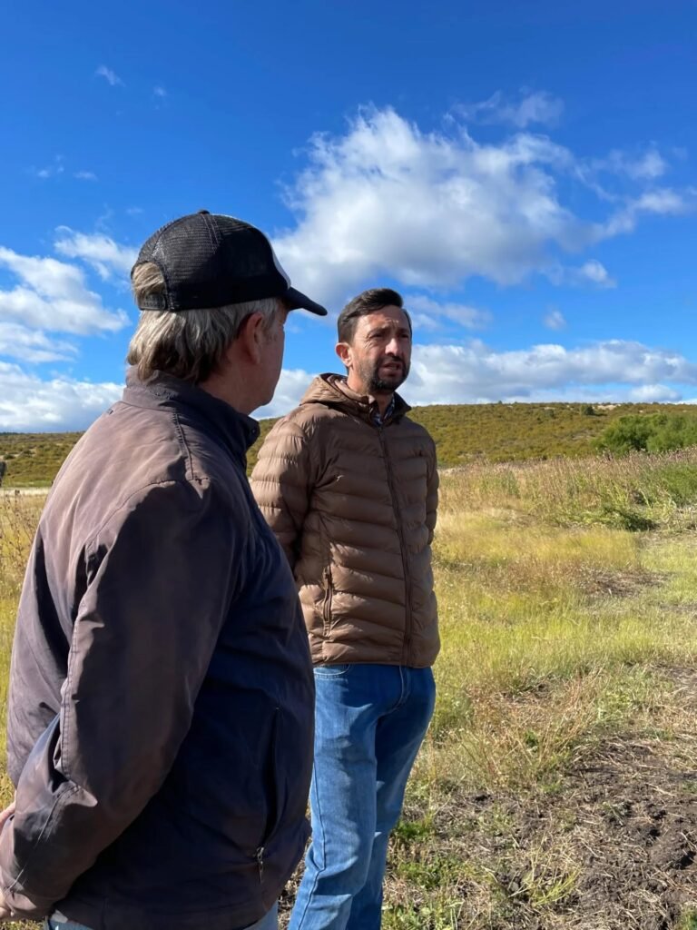 TREVELIN PROYECTA UNA NUEVA TEMPORADA DE TULIPANES TRAS UNA EXITOSA COSECHA DE BULBOS…