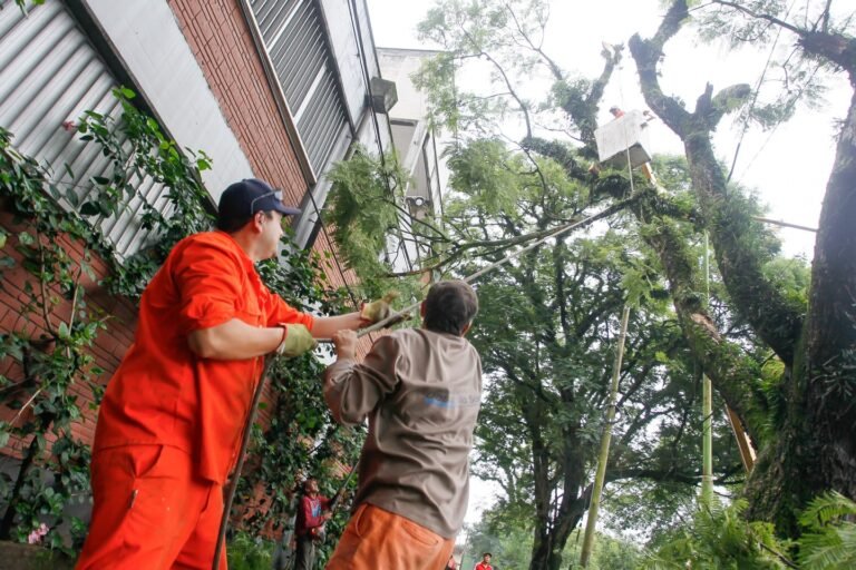 Continúan los trabajos de mantenimiento en distintos barrios de la ciudad….