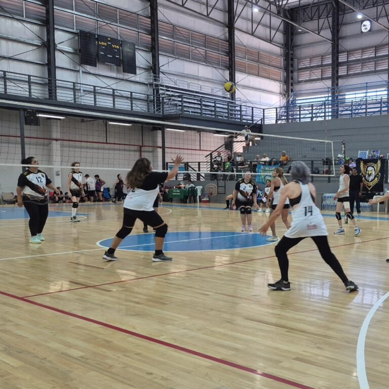 Gran convocatoria en el Torneo Metropolitano de Newcom…