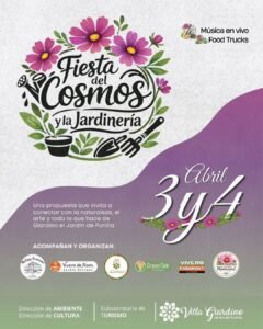 VUELVE LA FIESTA DEL COSMOS…