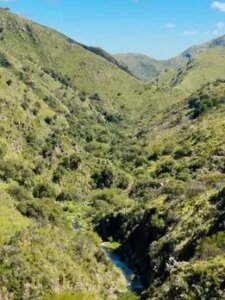 Комментарии для этой публикации отключены….