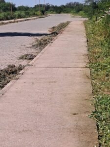 El área de Medio Ambiente refuerza tareas en calles y barrios….