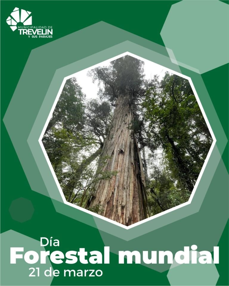 21 DE MARZO: DÍA FORESTAL MUNDIAL…