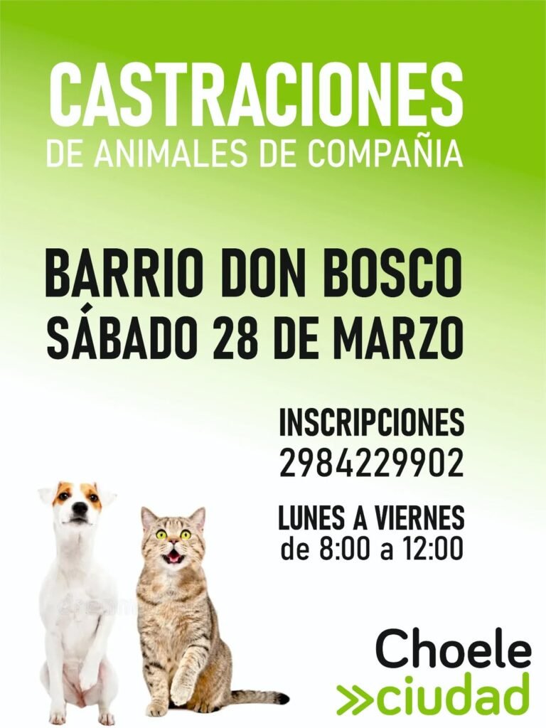 Castraciones de animales de compañía….