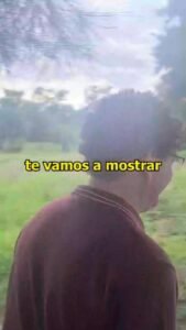 Más oportunidades para nuestros estudiantes…