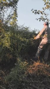 Compromiso que se ve en cada acción…