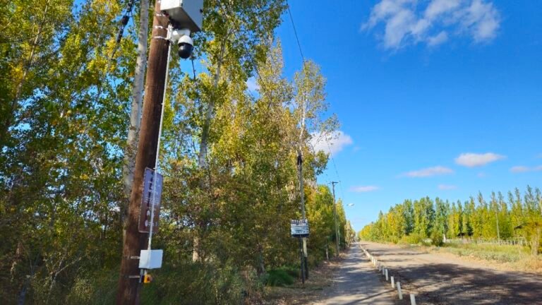 La Secretaría de Seguridad Ciudadana implementa el primer botón antipánico…