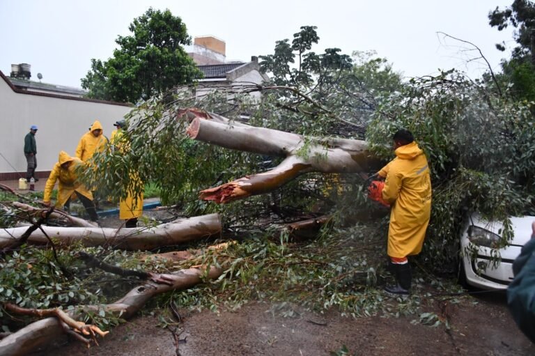 Tormenta en la ciudad…