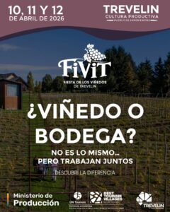 FIVIT 2026 | Donde la tierra se convierte en vino…