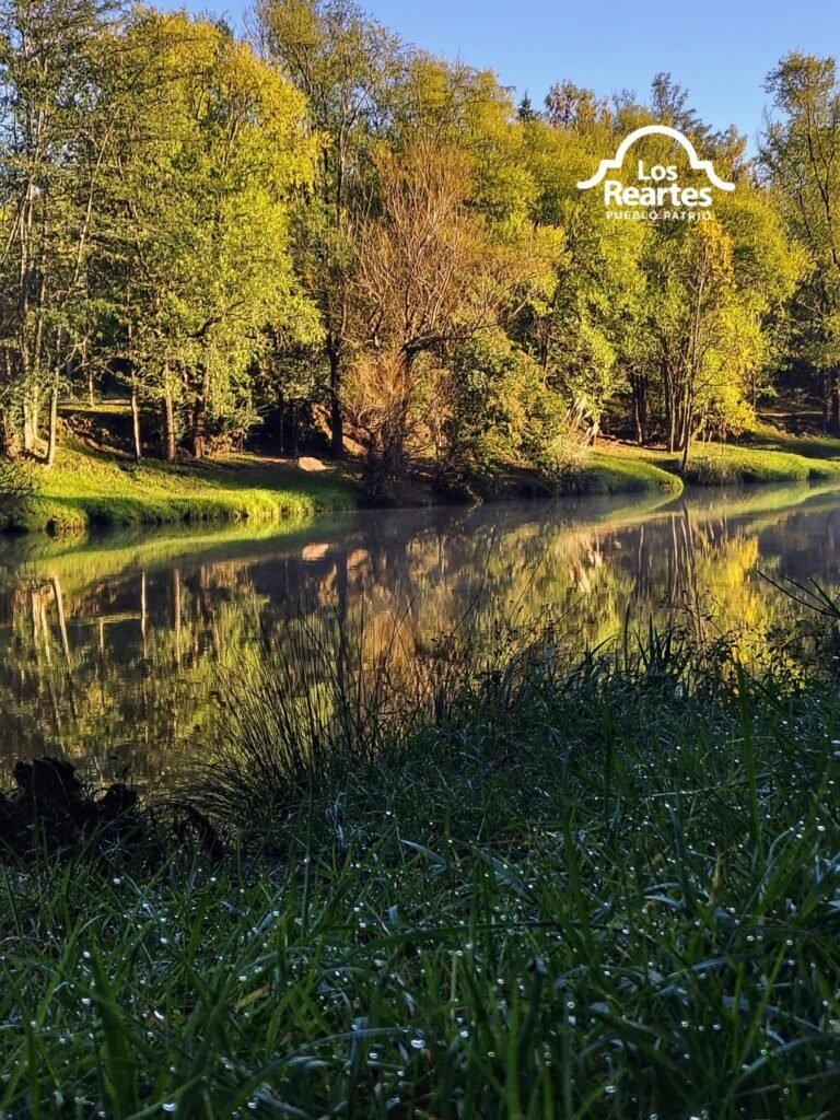 Mañanas frescas, de rocío y sol, en los Reartes…