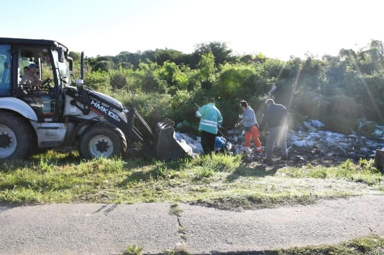 Limpieza integral en Av. Castelli….