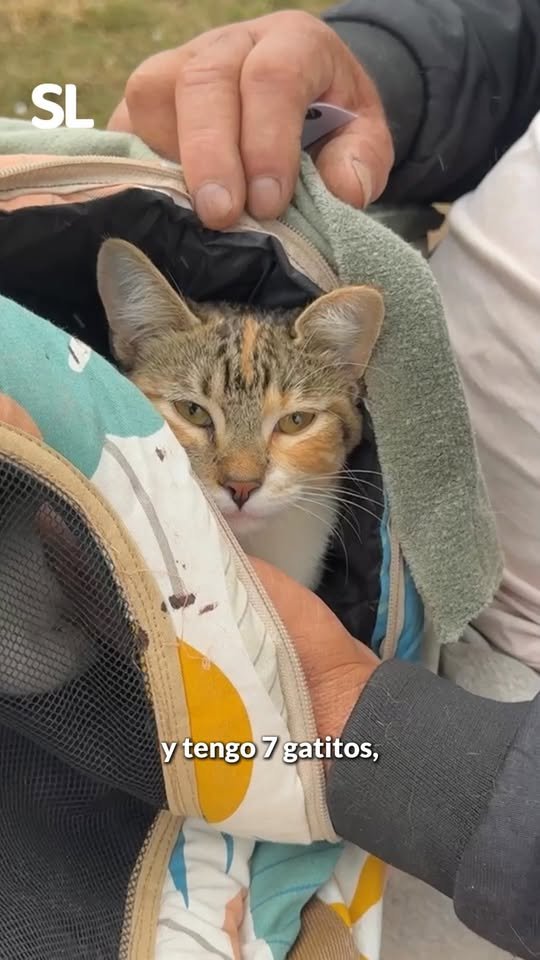 Zoonosis en los barrios…