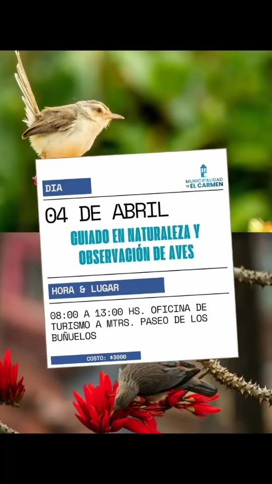 ¡NATURALEZA VIVA EN EL CARMEN!…